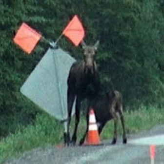 Screen Shot 2016-07-13 at 12.29.33 AM.jpg